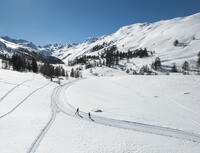 Ski de fond à Larche © Ubaye Tourisme